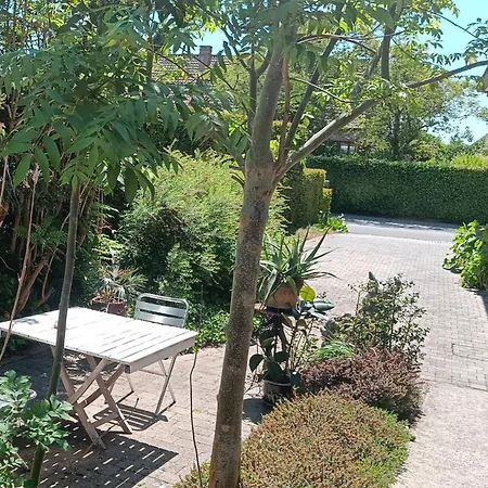 Bliss - Gate To The Flemish Ardens *